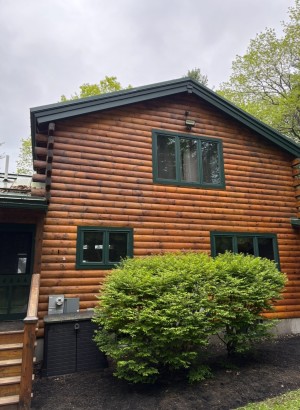 Log cabin rear exterior - freshly cleaned